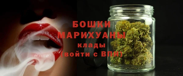 трава Арсеньев