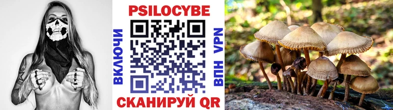 Псилоцибиновые грибы Psilocybine cubensis  Грайворон 